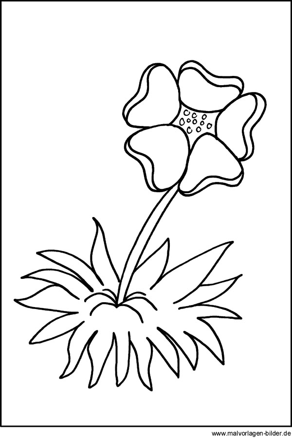 Malvorlage Blume - Window Color Bild zum Ausdrucken