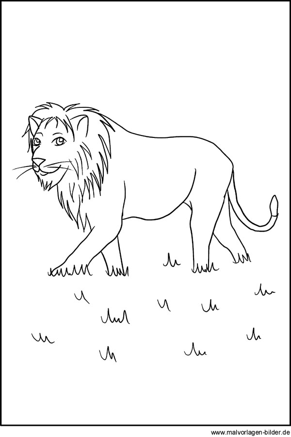 Löwe - Malvorlage und Ausmalbild